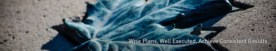 Wise Plans, Well Executed, Achieve Consistent Results