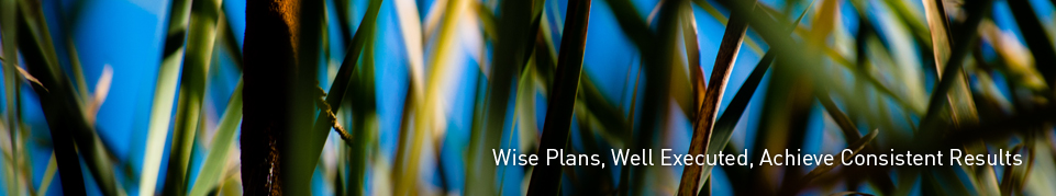 Wise Plans, Well Executed, Achieve Consistent Results